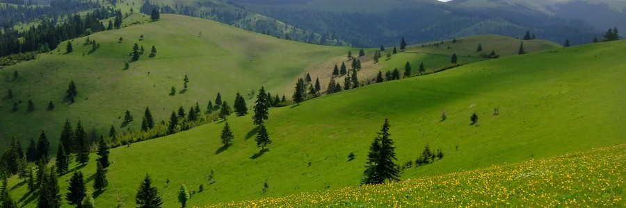 Kárpát Expressz 2015.08.01 – Zászlót bontott a Hazajáró Turisztikai és Honismereti Egylet