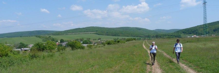 Újra egy jól sikerült „hazai” túra az ipolymenti Korponai-erdőben