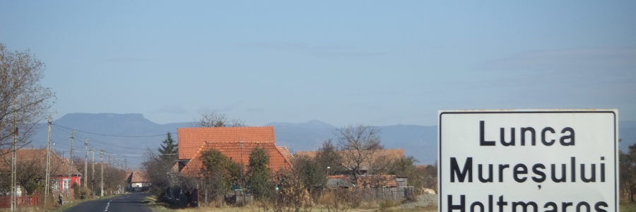 Holtmaros