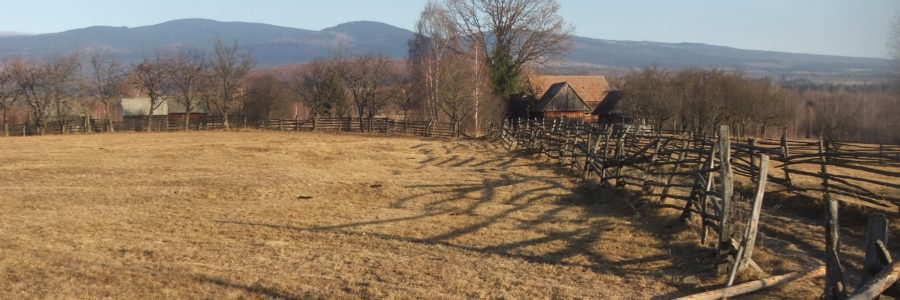 Deság