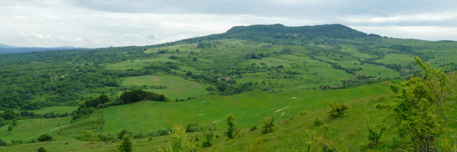 Firtos vára
