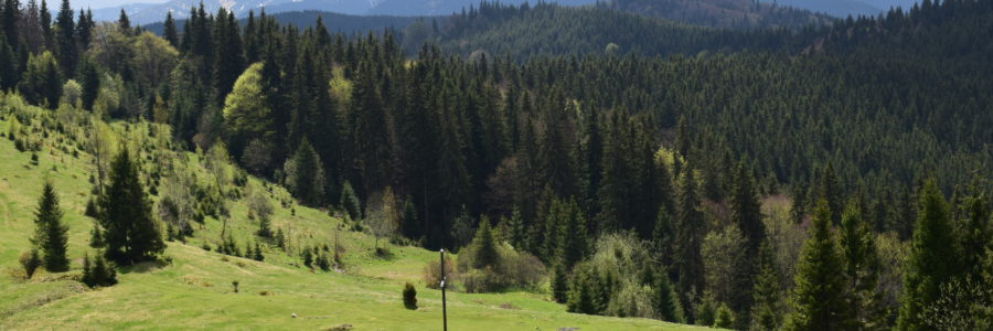 Légiós-hágó