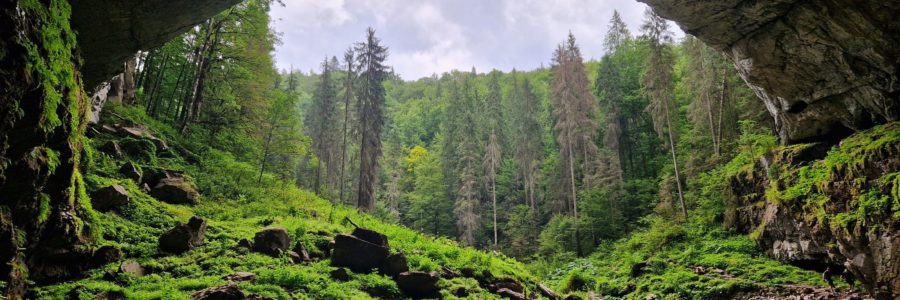 Nagy-Kojba-vízkelet