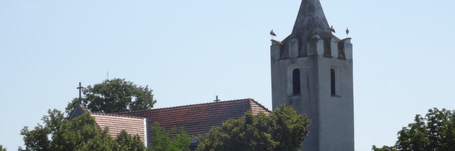 Csallóközkürt