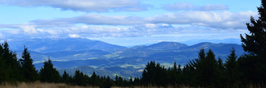 Mincsol (Árvai-Magura)