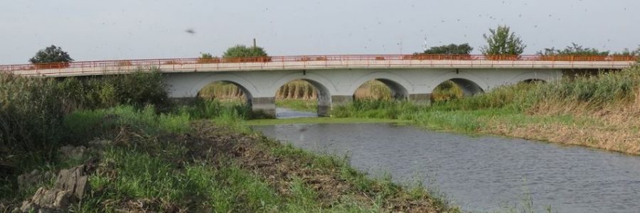 Észak-Bánát – Aranka síkja, Kikinda háta (153. rész)