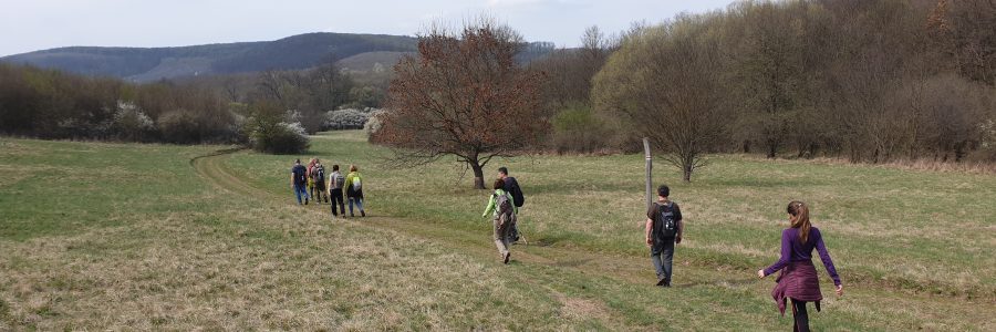 Pillanatok a Lehőcz János Emléktúrán