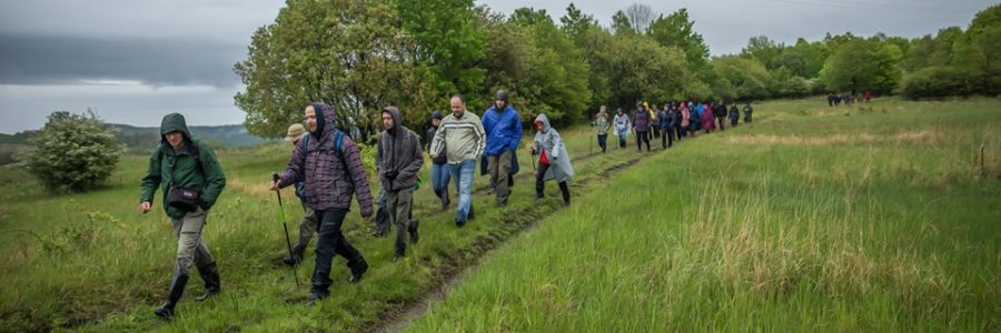 Hazajáró túra Medvesalján