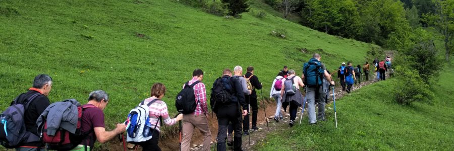 VI. Radnai túra – irány a Toronyága csúcs!