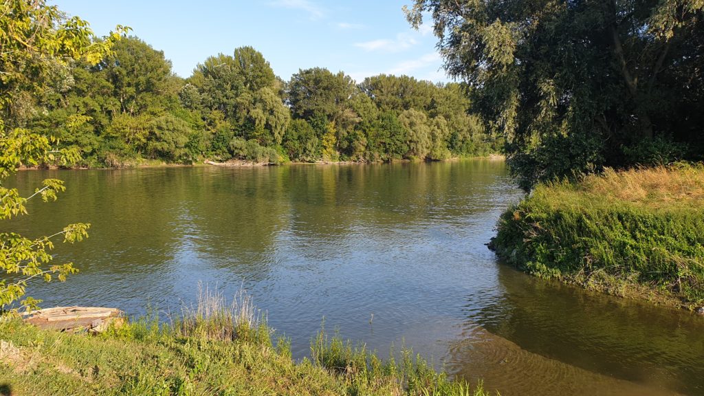 Vág-Nyitra-köze – Magyar élet az Érsekújvári-lapályon