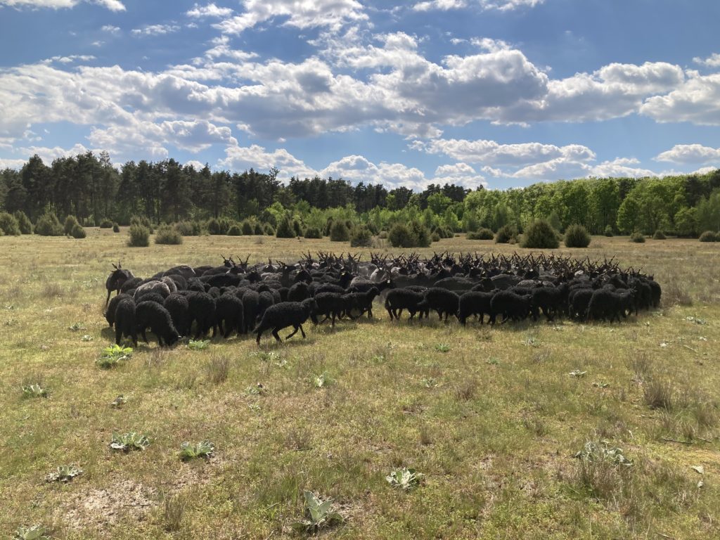 Drávamente 2. – Somogytól Ormánságig