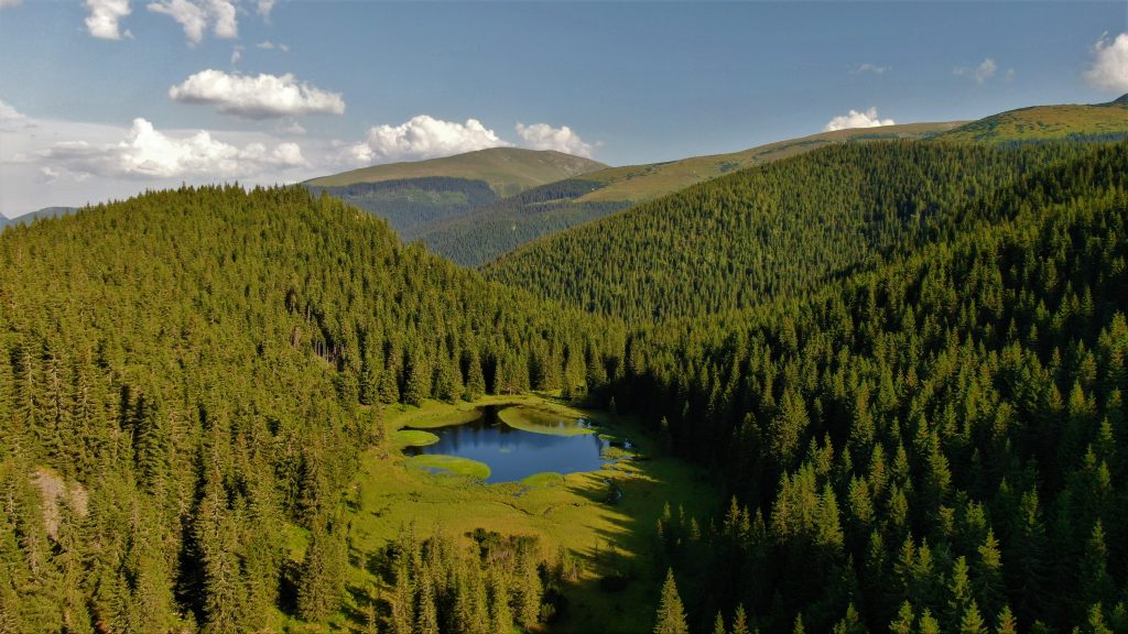 Latorica – Az utolsó titok