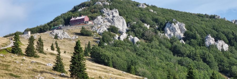 Vucjak