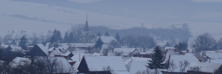 Bardoc