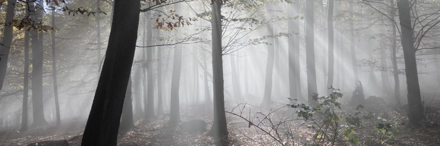 Túra a hidegpárna határán