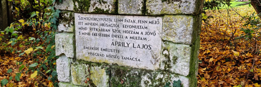 Áprily Lajos emléktúra – köd és vadvirágok a Visegrádi-hegységben