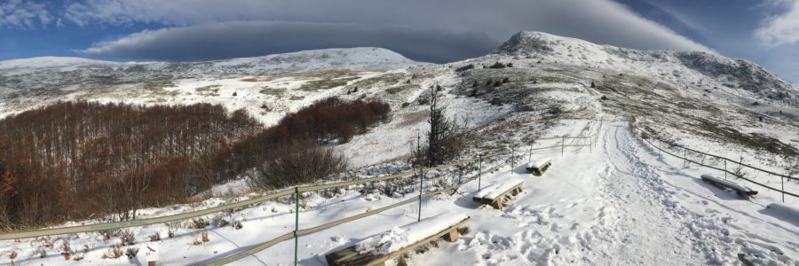 Tarnica