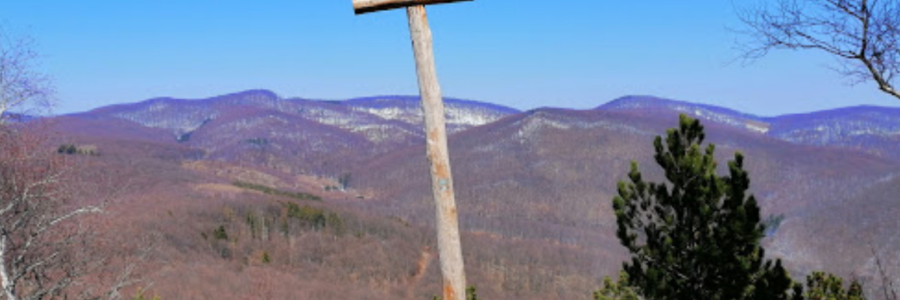 Maliscsák