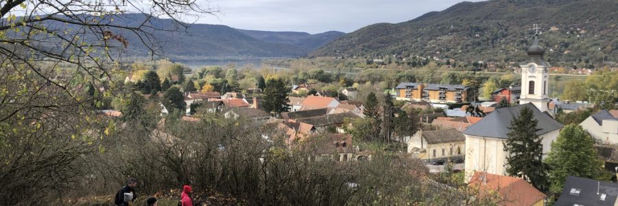 “Erdő nélkül nincs titok”