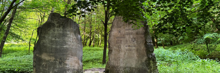 A börzsönyi kaldera vonzásában