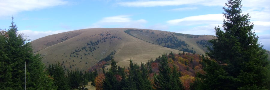 Ploska