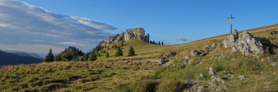 Királykút