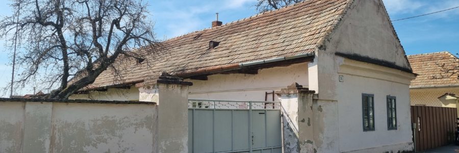 Vágkirályfa