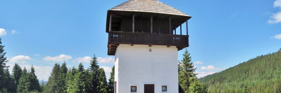 Nagyborove