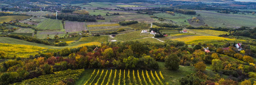 Királyi ereklyék nyomában – Balaton-felvidék – 2025
