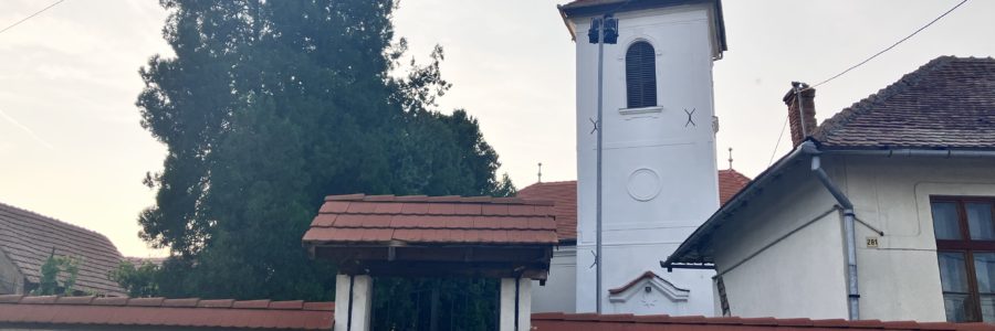 Vajasd