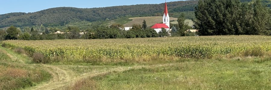 Beje