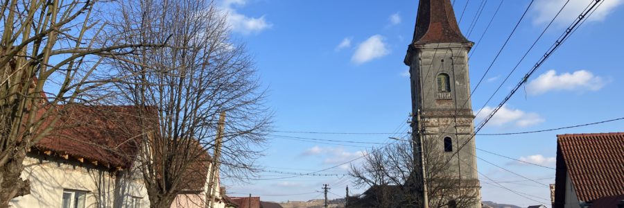Nagyselyk