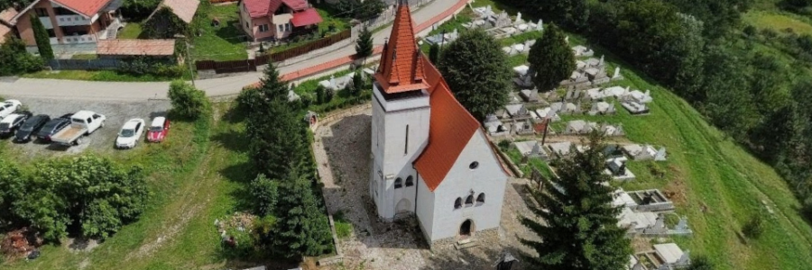 Erdőfelek