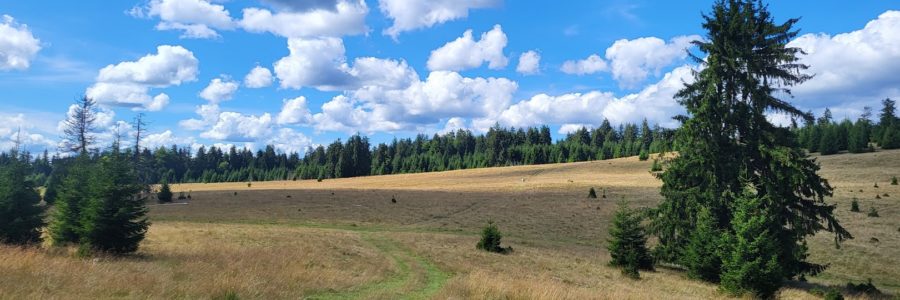 Tekerő-puszta