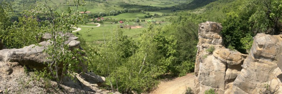 Danki kőgombák
