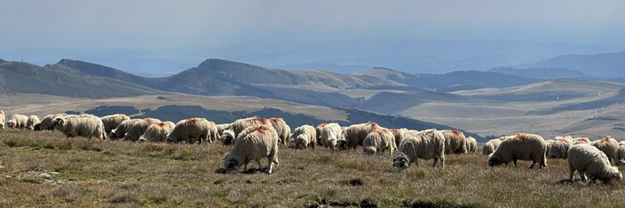 Caraiman-csúcs