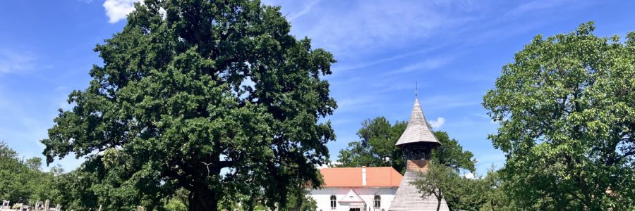 Kálnok
