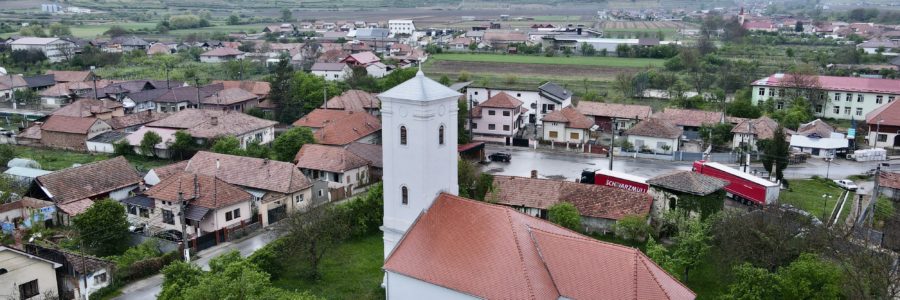 Sárd