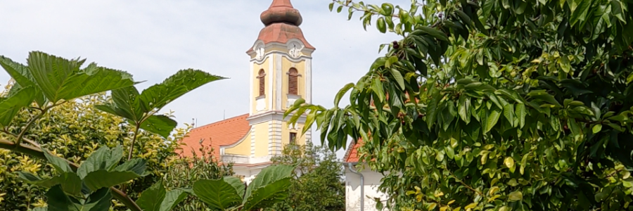Ekel