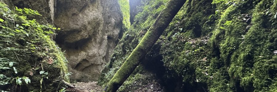 Szegyesd-szurdok