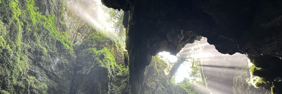 Golubinjak-erdő