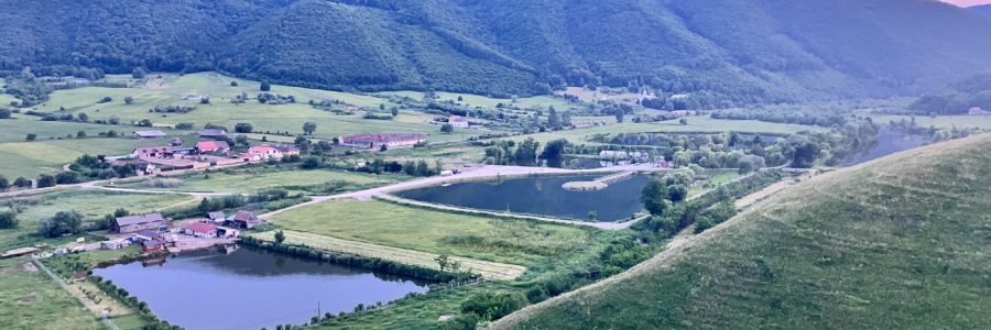Orlát