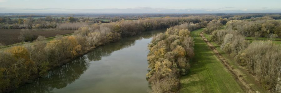 Vágfüzes