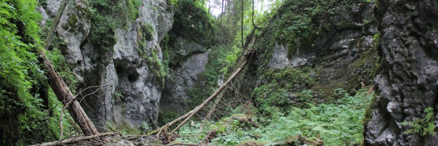 Huciaky-szurdok