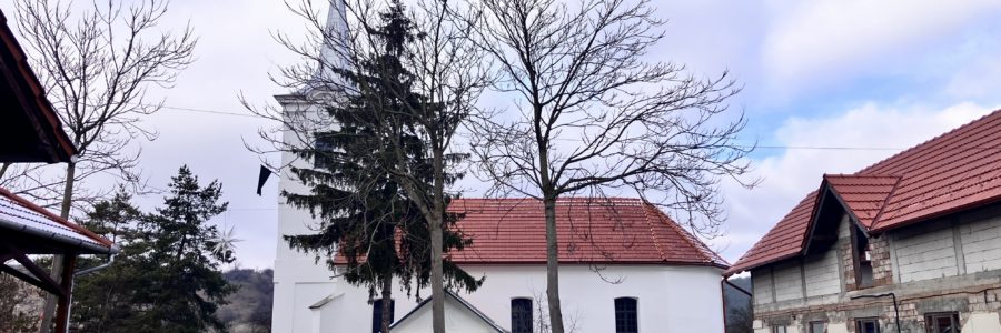 Mezőbodon