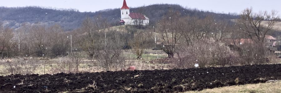 Oroszfája